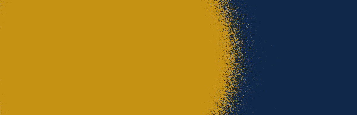 simple grit, gold on navy